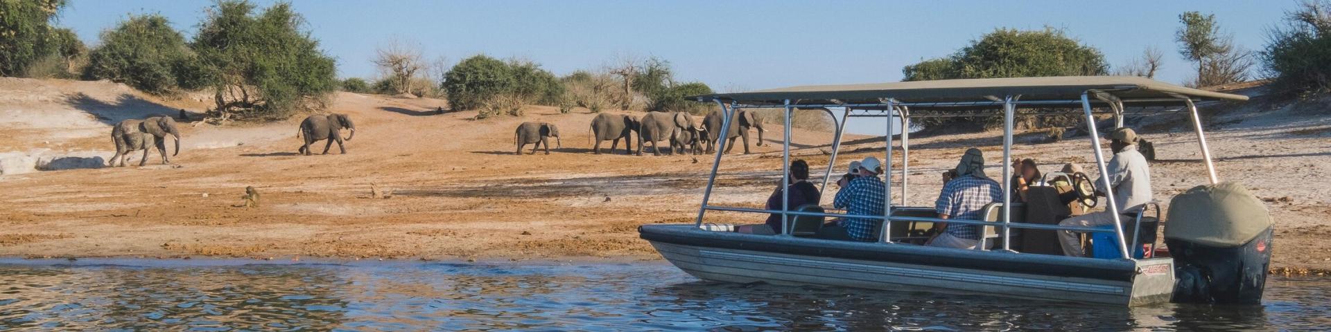 Park Narodowy Chobe